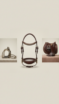 Metallic-Accented Equestrian Bridle